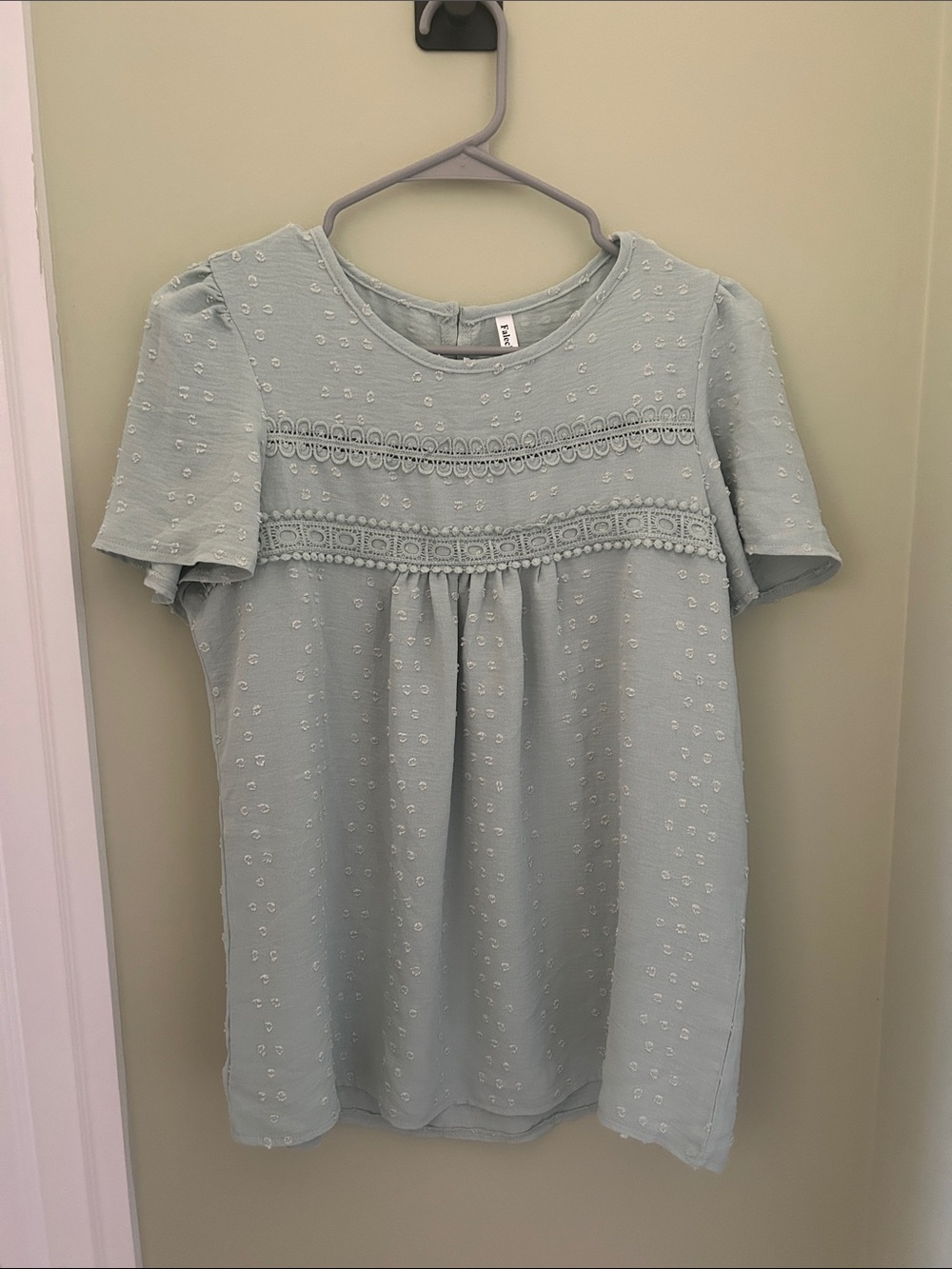 Light Blue Swiss Dot Lace Yoke Women's Top
